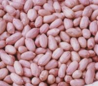 Long type peanut kernels